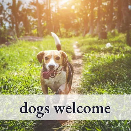 Hallo!-apartment: Spacious City-center Flat With Sunny Terrace Bad Worishofen